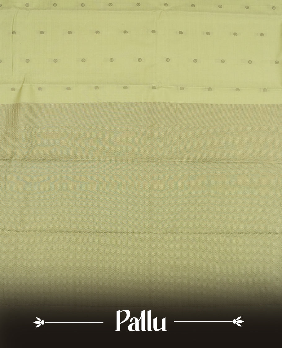 Pastel green colour semi soft silk saree featuring a gray colour textured patterned body, complemented by self coloured with gray colour motifs pallu & border and a matching blouse piece.