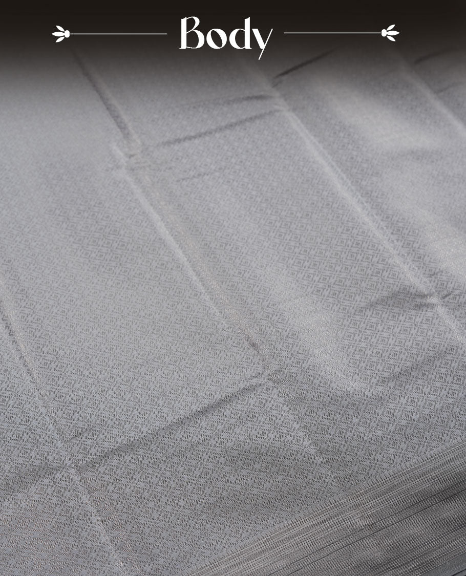 Slate gray colour semi silk saree featuring neem zari Brocade Pattern all over the body, complemented by a Self Colour woven border with detailing, Pallu & blouse.