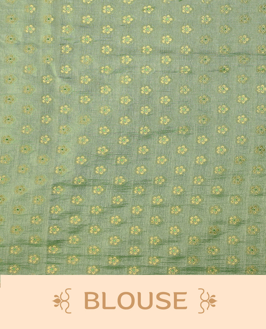 Pista semi-organza saree with intricate floral jaal work, elegant border, and a matching silk brocade blouse.