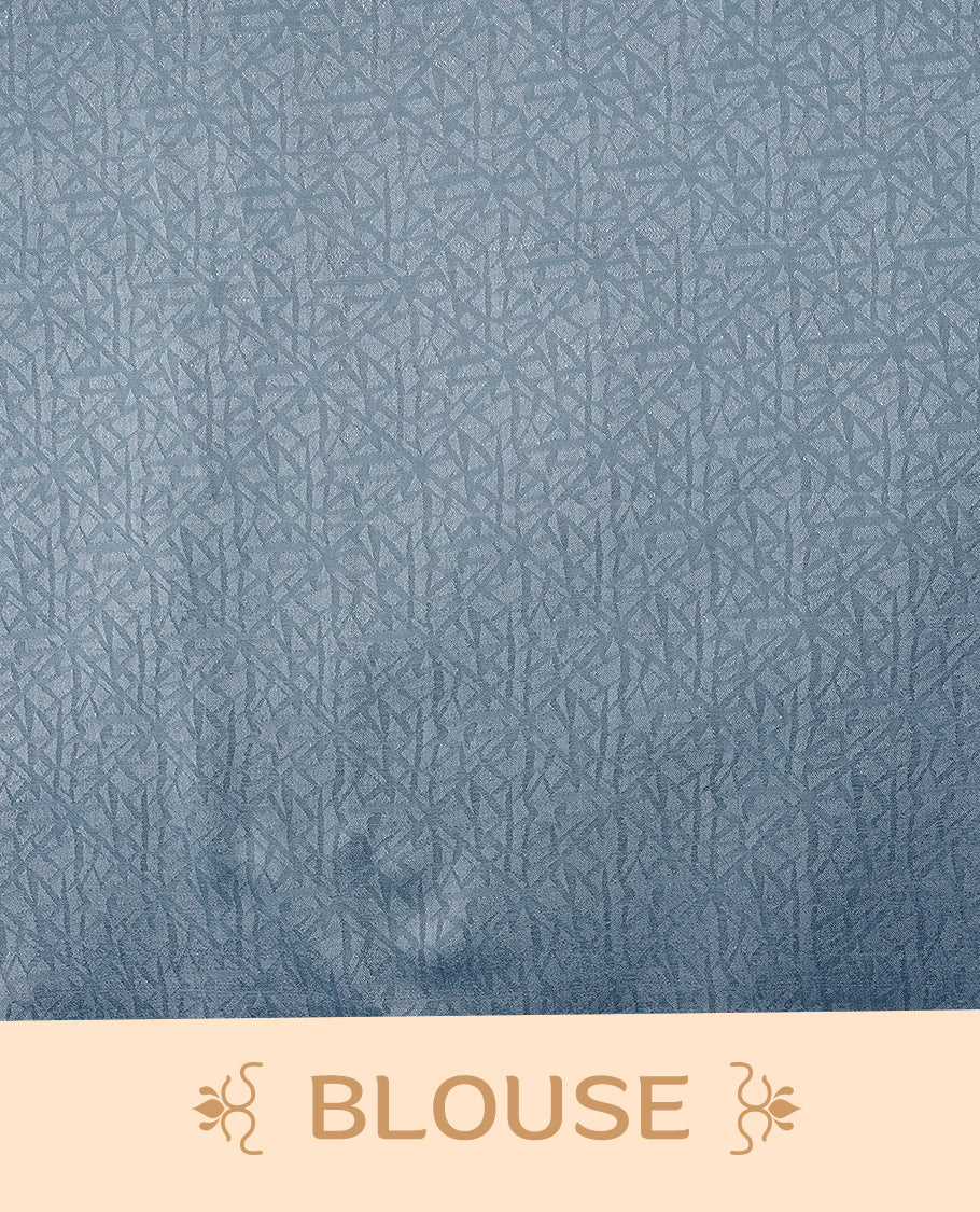 Blue semi-organza saree with intricate floral jaal work, elegant border, and a matching silk brocade blouse.