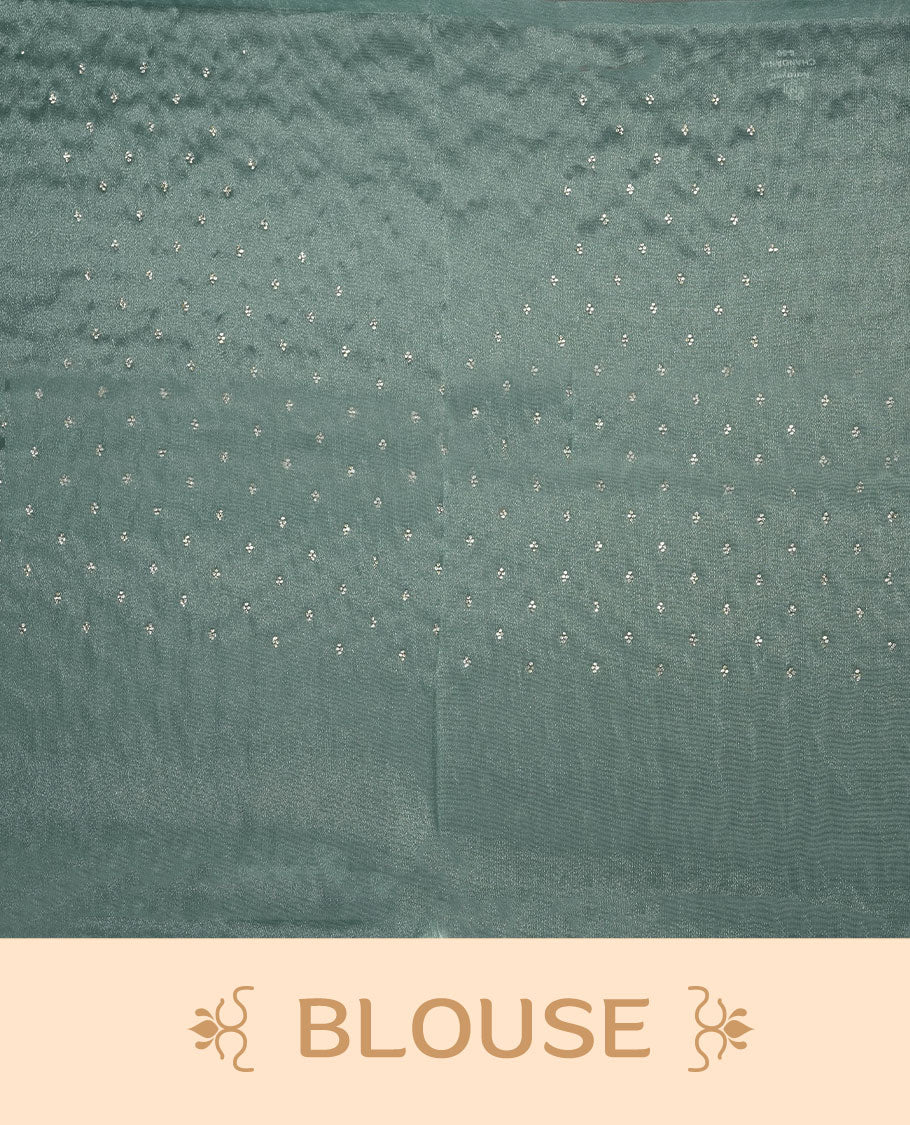 Pastel teal colour net shimmer fancy saree adorned with scattered white stone buttas all over the body, paired with a delicate stone worked border and matching blouse.