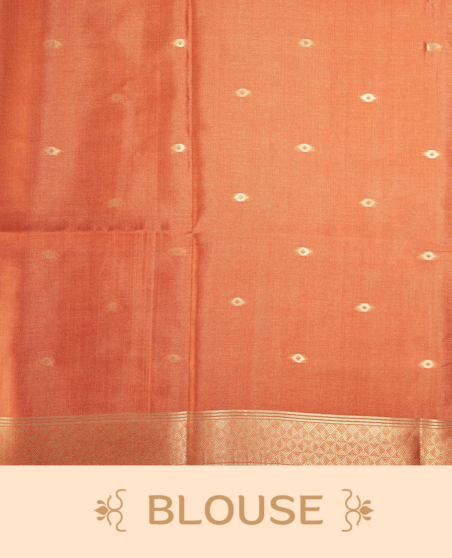 Peach and pastel green semi tussar Banarasi saree featuring artistic parrot prints perched on berry-laden branches across the body, with gold geometric woven patterns, an elegant peach zari border, and a matching blouse.