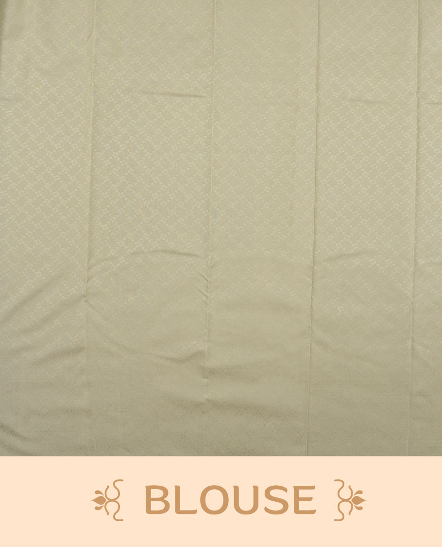 Gray stone colour semi soft silk saree featuring a self coloured textured patterned body, complemented by self coloured tiny diamond & floral motifes on pallu & border and a matching blouse piece.