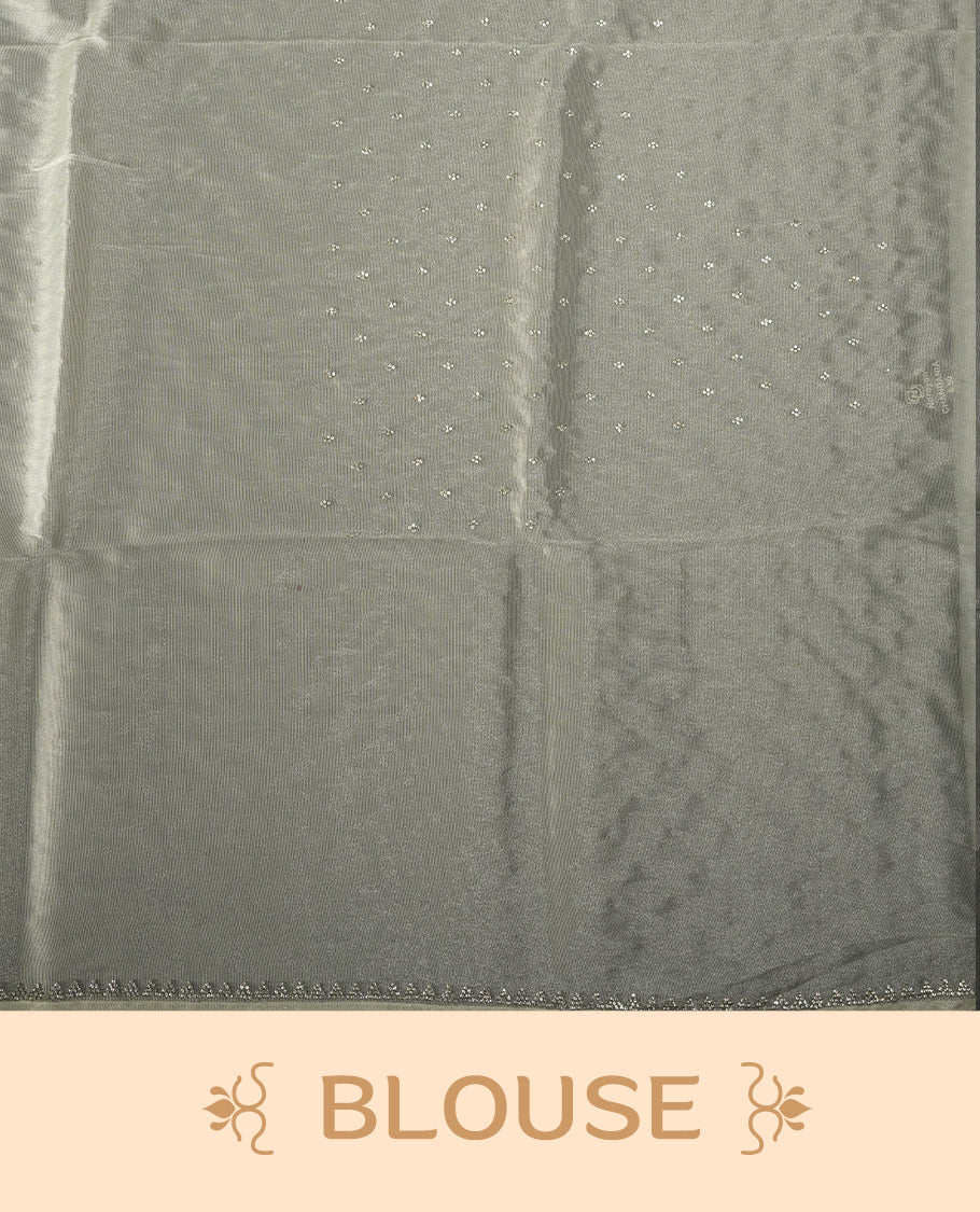 Cream Colour net shimmer fancy saree adorned with white stone buttas all over the body, paired with a delicate stone worked border and matching blouse