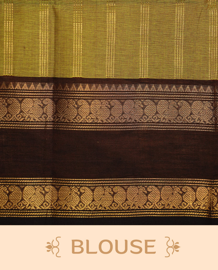 Olive colour chettinad cotton saree featuring gold zari stripes on body, complemented by dark chocolate colour with zari border, paired with matching blouse piece.