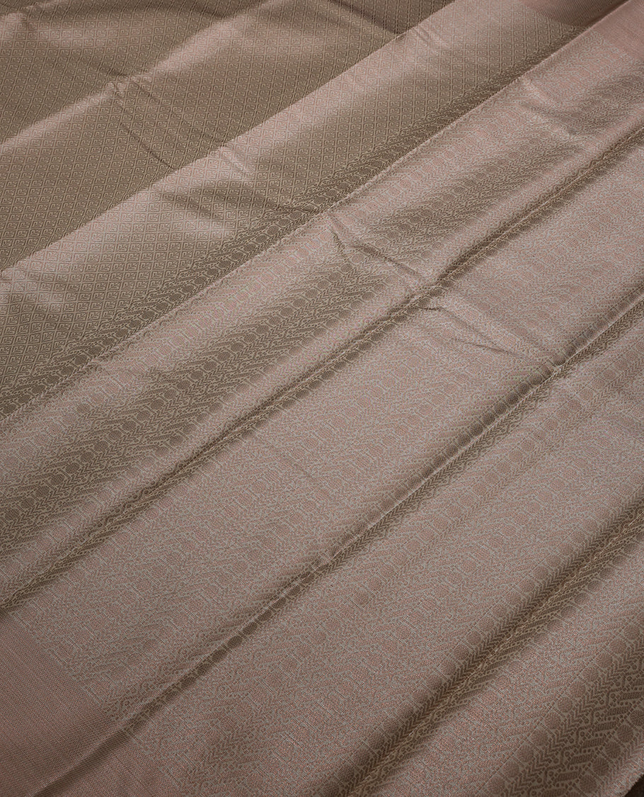 Ivory Colour Tissue Saree having Contrast Zari Worked Body with Brocade Border and Blouse
