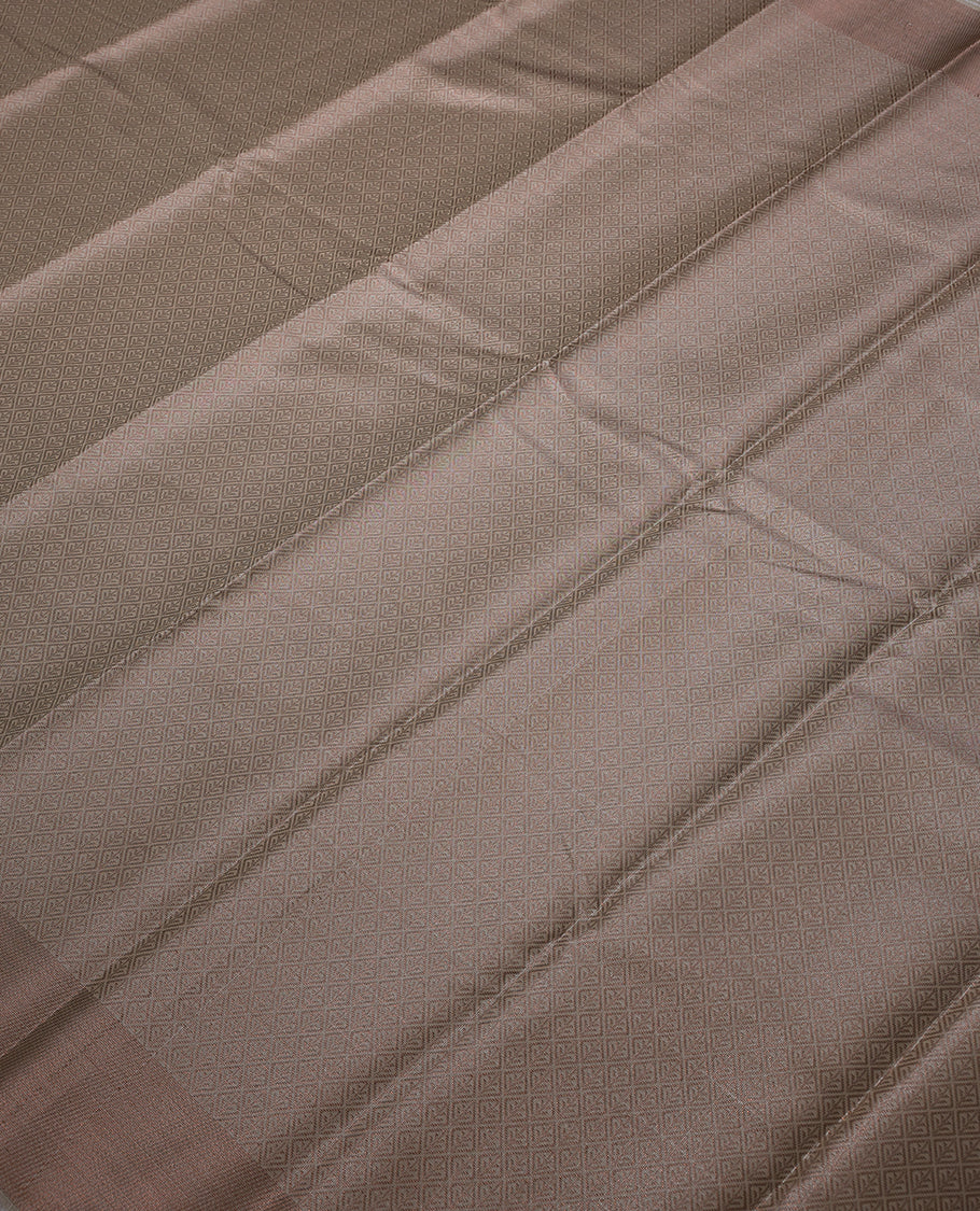 Ivory Colour Tissue Saree having Contrast Zari Worked Body with Brocade Border and Blouse