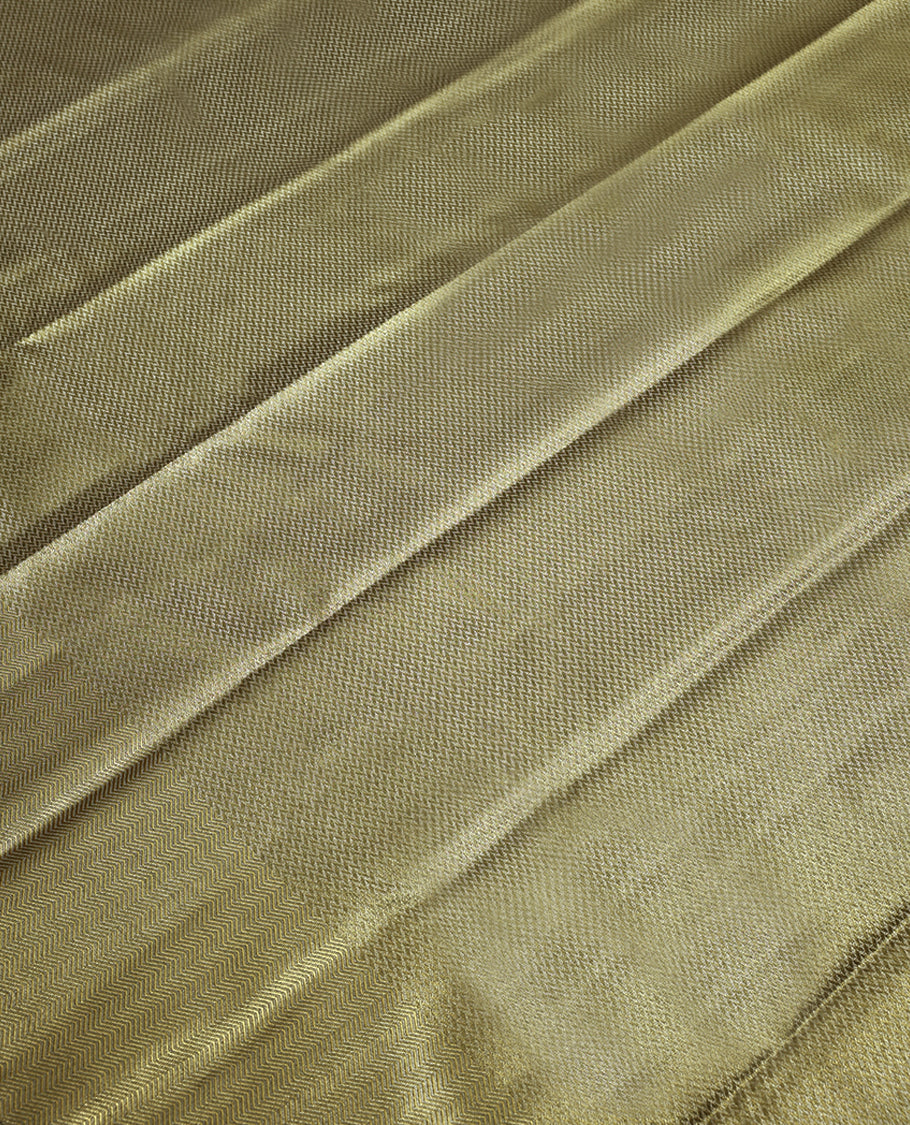 Light Golden Colour Art Tissue Saree having Zari Worked Body with Self Colour Border and Blouse