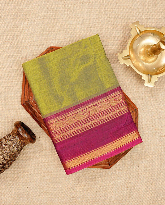 Olive green colour chettinad cotton saree featuring elegant plain body, Contrast magenta colour with Gold zari border, comes with matching blouse piece.