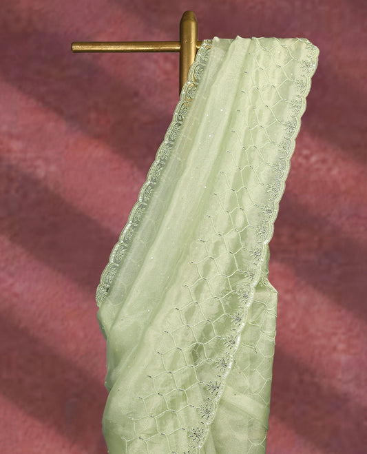 Light Pastel green colour pure organza saree featuring sequin work all over the body, adorned with a heavily embellished border with beads, stones, and sequins, complemented by a worked pallu and paired with a matching embellished blouse