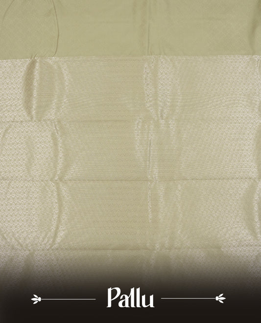 Gray stone colour semi soft silk saree featuring a self coloured textured patterned body, complemented by self coloured tiny diamond & floral motifes on pallu & border and a matching blouse piece.