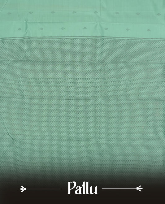 Light aqua colour semi soft silk saree featuring a Gray patterned body, complemented by Gray colour traditional pallu and a matching blouse piece.