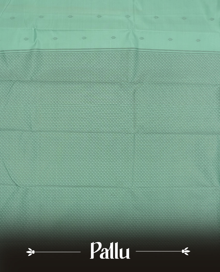 Light aqua colour semi soft silk saree featuring a Gray patterned body, complemented by Gray colour traditional pallu and a matching blouse piece.