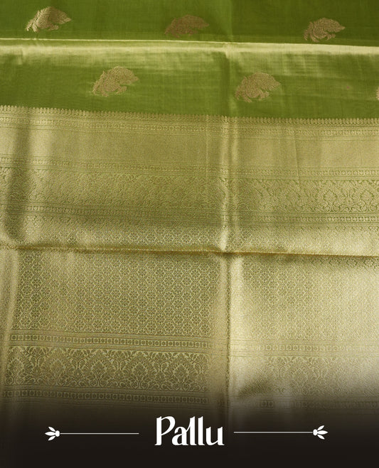 Green & Gold double shade colour tissue banaras silk saree featuring antique gold zari motifs on the body with rich traditional zari border and pallu, paired with a matching blouse piece.