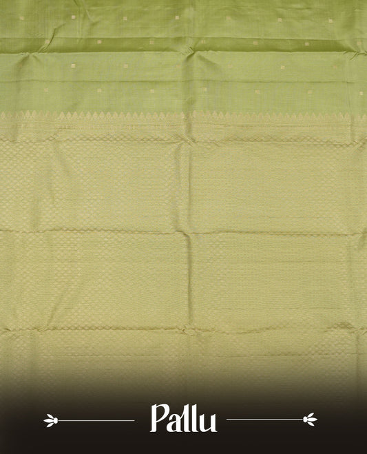 Light mehandi colour Vasundhara silk saree adorned with all-over gold square motifs on the body, complemented by a self colour with green Box pattern border and paired with a matching blouse piece.