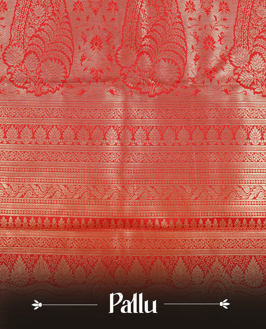Red colour semi wedding silk saree featuring Gold zari pattern on body, complemented Silver Peacock motifs & gold zari border, paired with matching blouse piece.