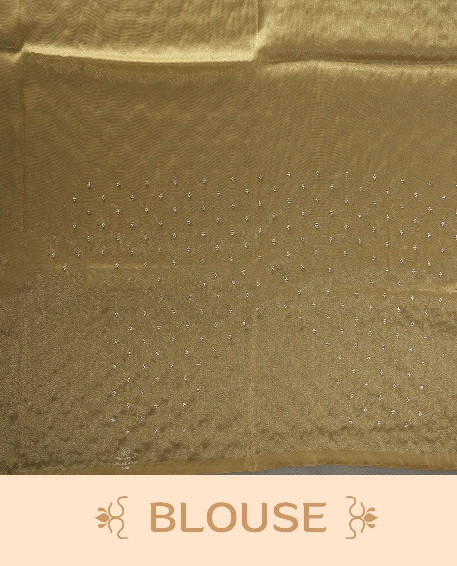 Coral Peach colour net shimmer fancy saree adorned with white stone buttas all over the body, paired with a delicate stone worked border, with matching blouse