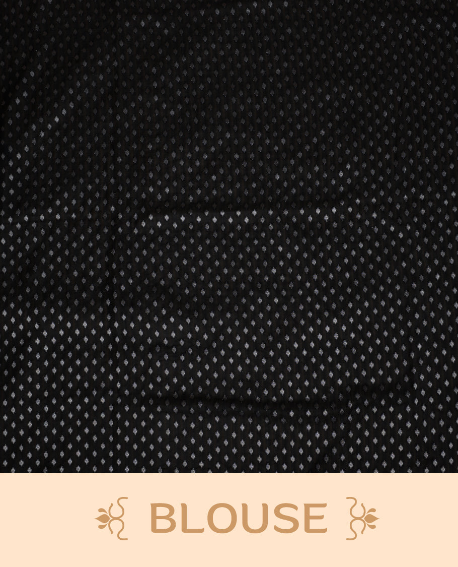 Black colour Banarasi silk saree featuring intricate zari weaving and a soft silk texture, Adorned with silver motifs on the body, complemented by a rich Banarasi border and pallu & Comes with a matching blouse.