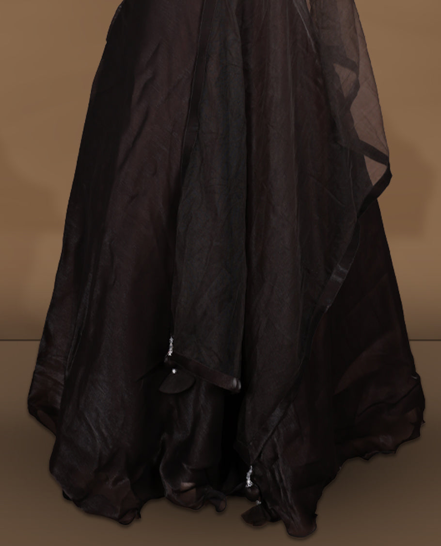 Chocolate brown colour lehenga set with stitched sleeveless embellished yoke blouse featuring sheer neckline, matching stitched flared lehenga, and plain sheer dupatta.