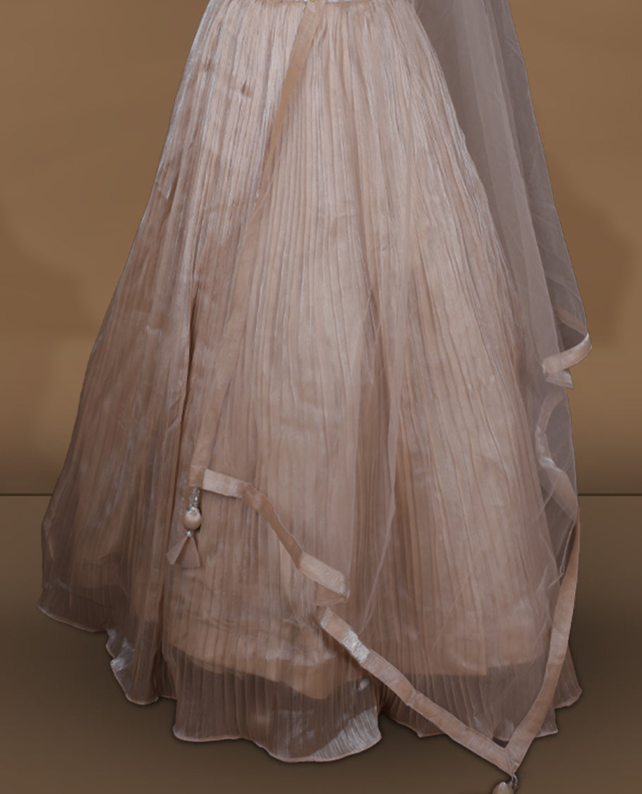 Champagne beige colour lehenga set with stitched sleeveless heavily embroidered blouse, matching stitched pleated flared lehenga, and plain sheer dupatta.