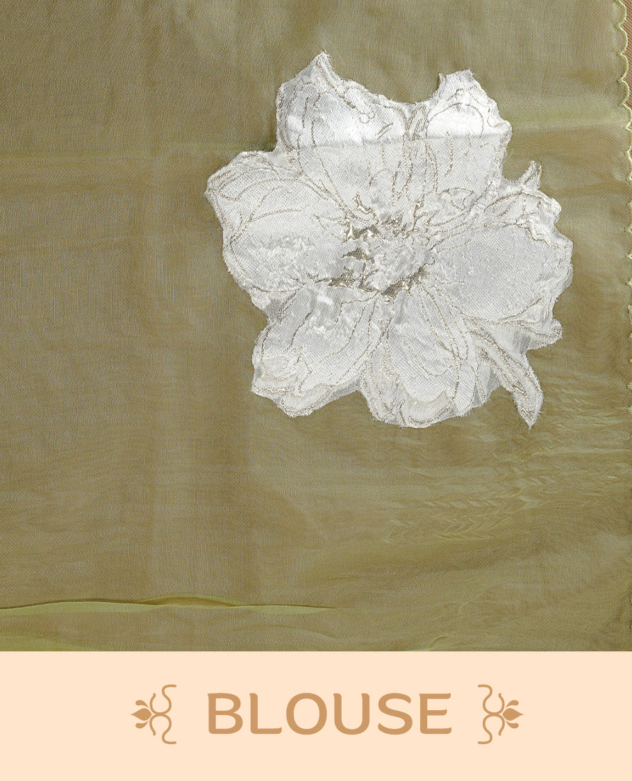 Pastel green colour semi organza saree featuring white floral & gold thread pattern, highlighting scalp design border, paired with matching blouse piece.