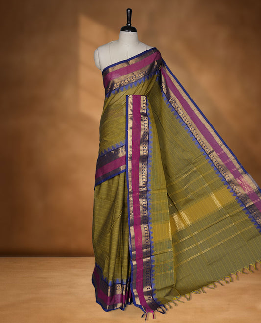 Olive colour chettinad cotton saree featuring stripes on body highlighting contrast magenta and blue with gold zari border, pallu and paired with matching blouse piece.
