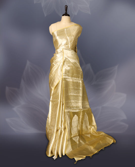 Golden Pure tissue Banaras saree featuring exquisite zari weaving throughout the body with a grand pallu highlighted by bold paisley motifs, making it a luxurious choice for weddings, festive occasions, and grand celebrations