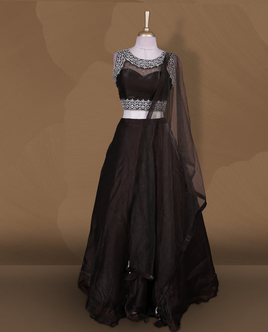 Chocolate brown colour lehenga set with stitched sleeveless embellished yoke blouse featuring sheer neckline, matching stitched flared lehenga, and plain sheer dupatta.