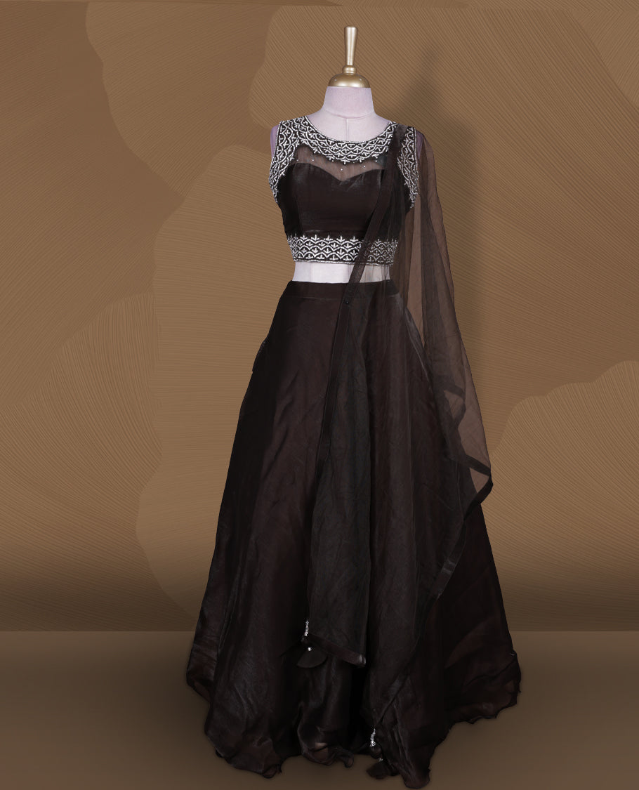 Chocolate brown colour lehenga set with stitched sleeveless embellished yoke blouse featuring sheer neckline, matching stitched flared lehenga, and plain sheer dupatta.