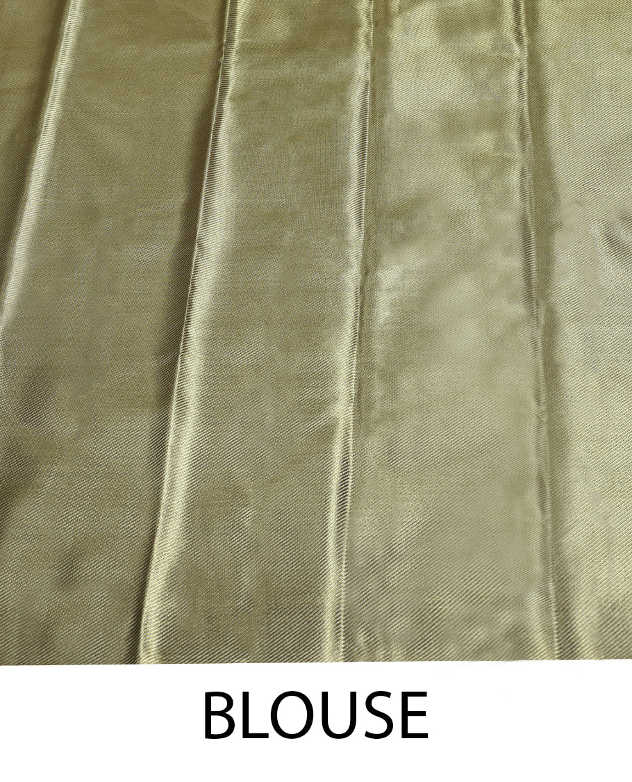 Light Golden Colour Art Tissue Saree having Zari Worked Body with Self Colour Border and Blouse