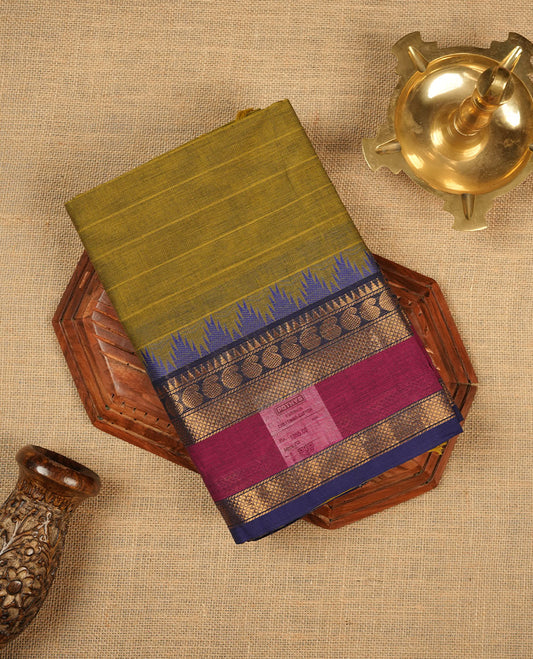 Olive colour chettinad cotton saree featuring stripes on body highlighting contrast magenta and blue with gold zari border, pallu and paired with matching blouse piece.