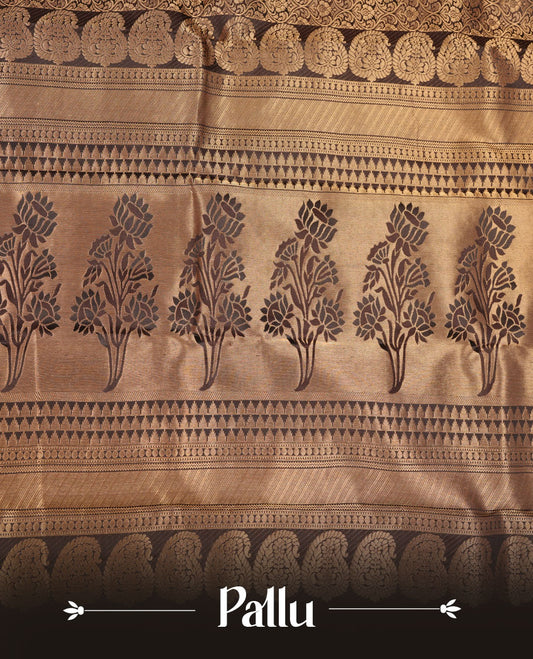 Dark coffee brown colour kancheepuram silk saree featuring antique gold zari jacquard on body with traditional border, paired with plain matching blouse piece.