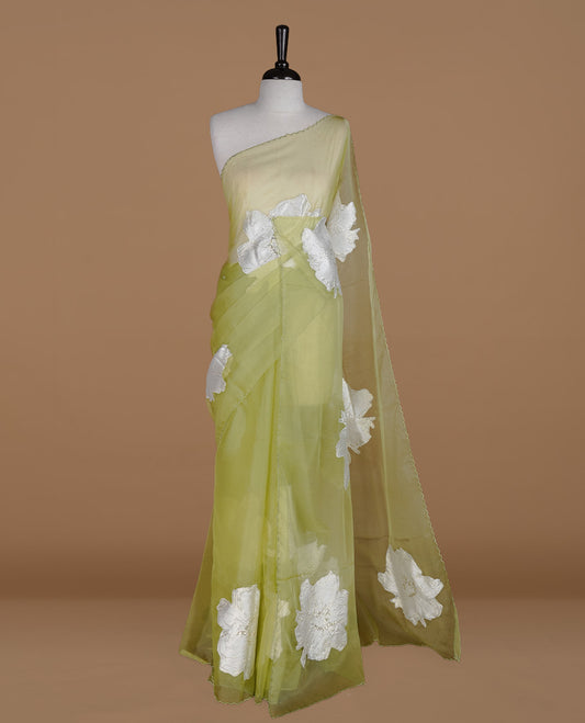 Pastel green colour semi organza saree featuring white floral & gold thread pattern, highlighting scalp design border, paired with matching blouse piece.