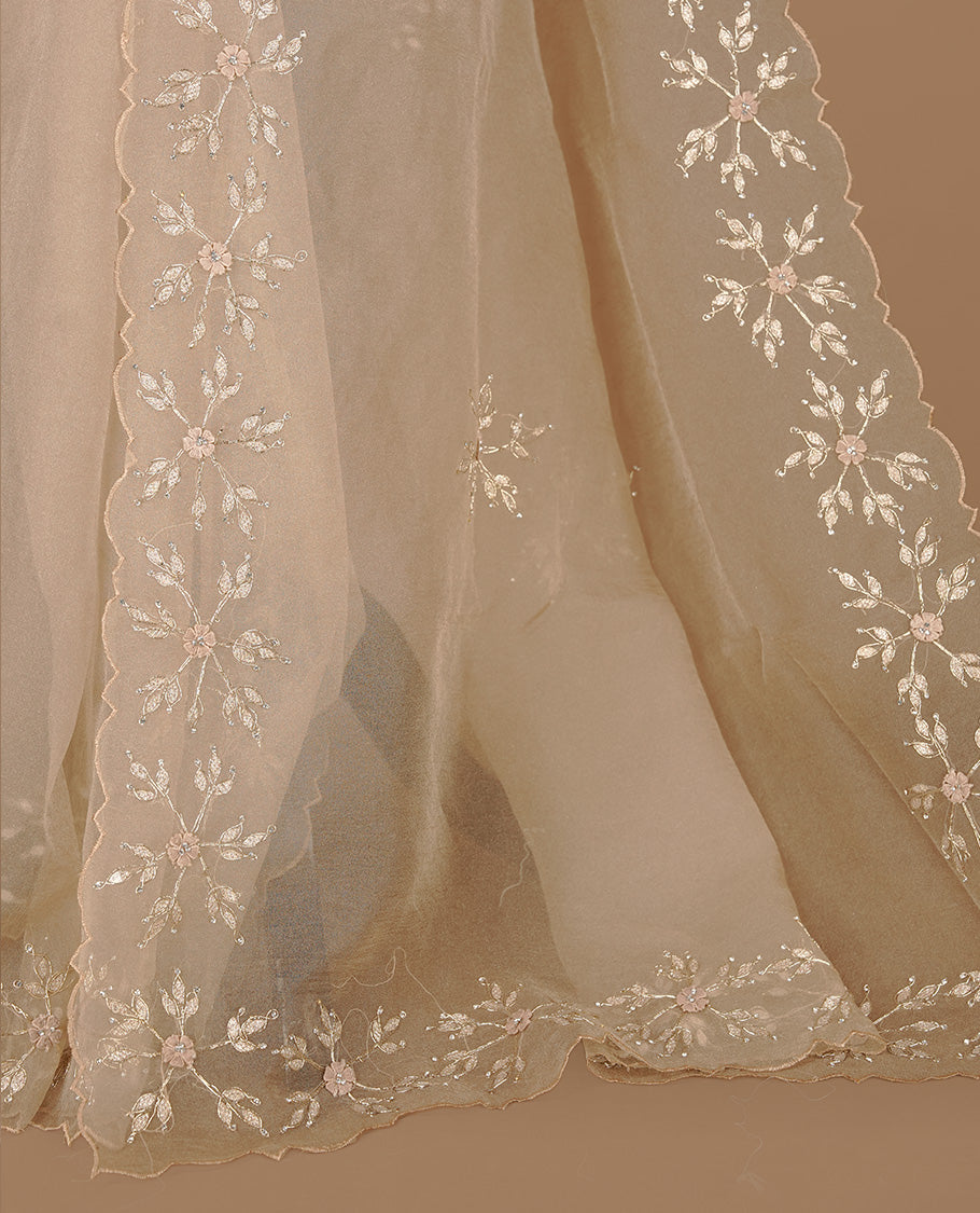 Light coffee colour crush organza saree featuring gold thread floral and stone worked  body, highlighting scalp designed border, paired with matching blouse piece.