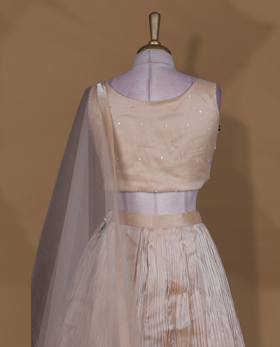 Champagne beige colour lehenga set with stitched sleeveless heavily embroidered blouse, matching stitched pleated flared lehenga, and plain sheer dupatta.