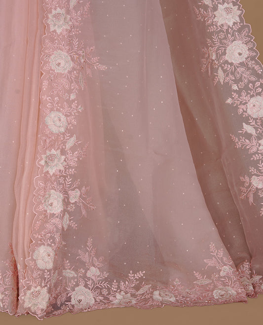 Pinkish beige colour organza saree featuring thread with cut beats & sequins floral pattern on body, highlighting scalp border, paired with matching blouse piece.
