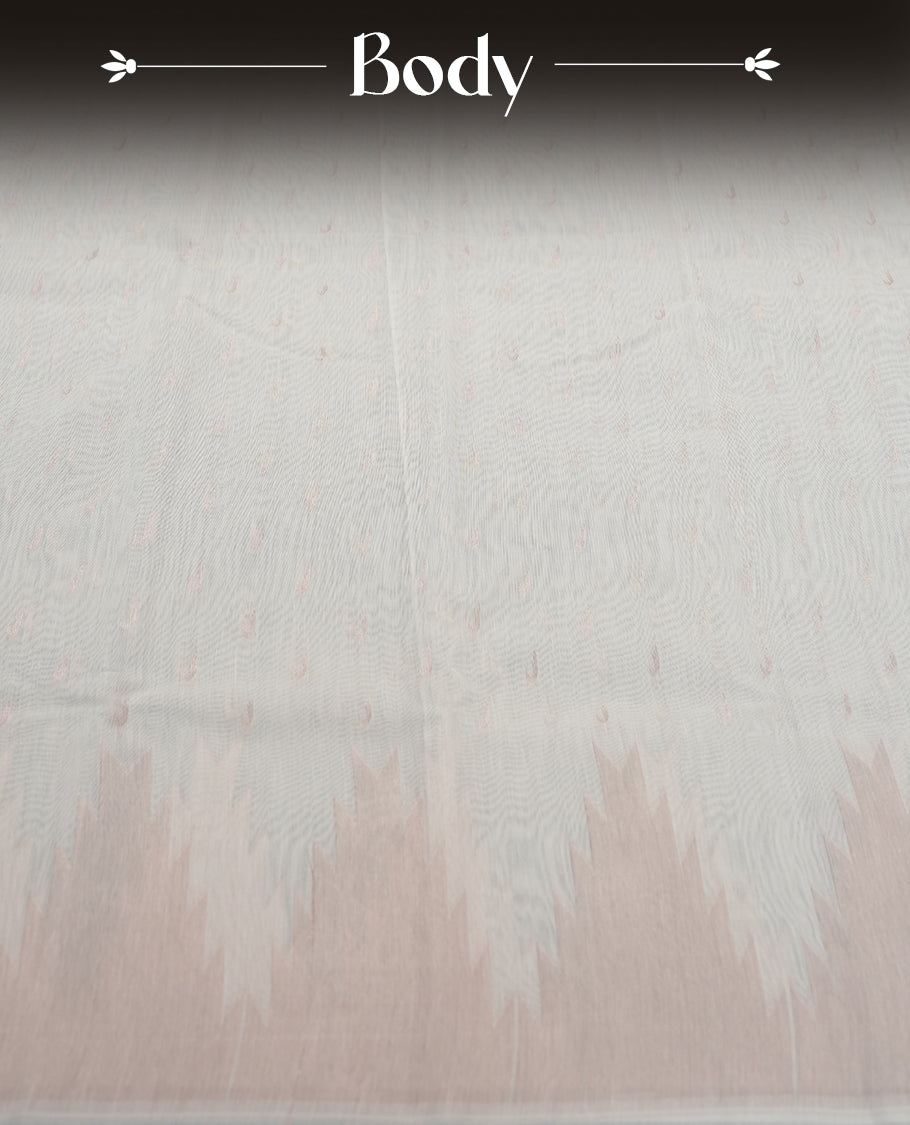 Cream Silk Cotton Saree with Subtle Woven Texture, Plain Unembellished Body, Paired with Matching Plain Blouse Piece