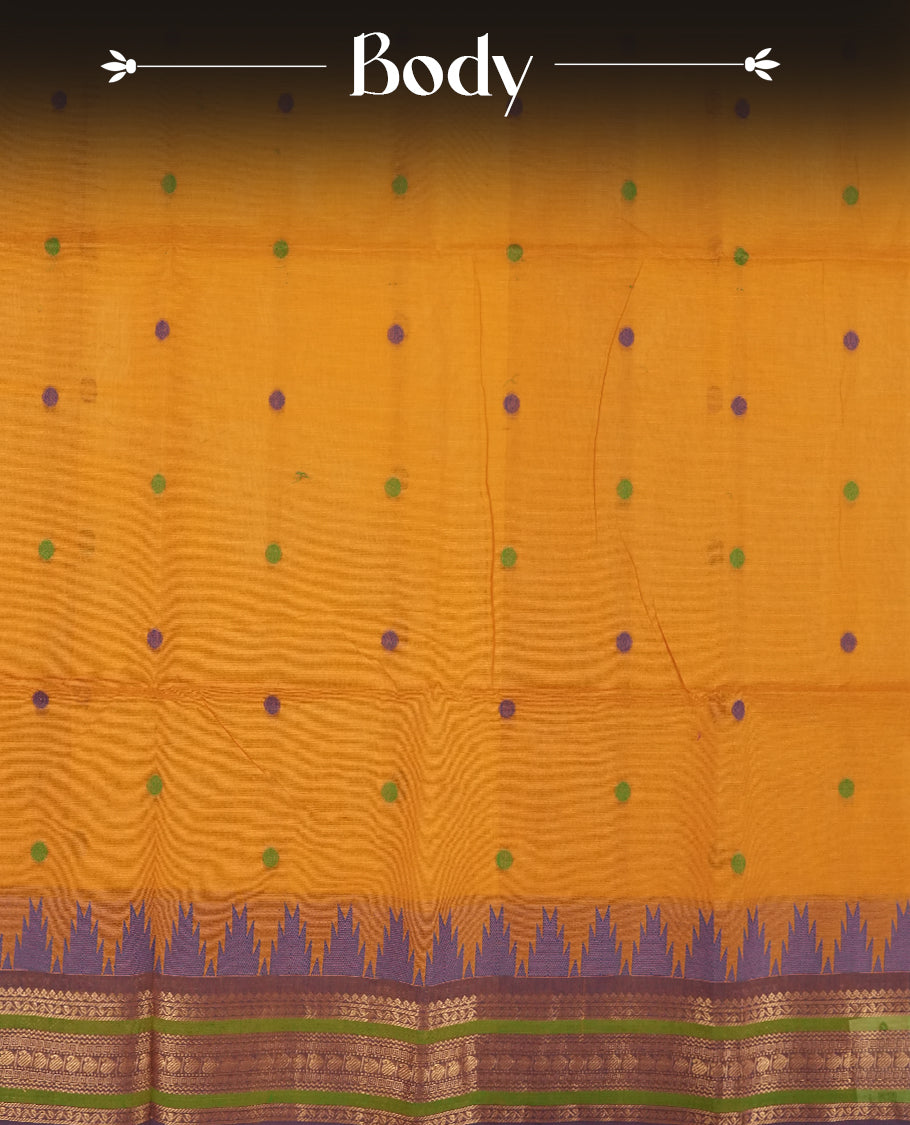 Brown & Purple colour dual shaded Chettinad cotton saree adorned with small woven dots on the body, a striking purple and green border with intricate golden zari patterns and geometric motifs & Comes with a matching blouse piece.