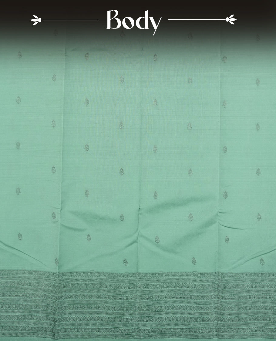 Light aqua colour semi soft silk saree featuring a Gray patterned body, complemented by Gray colour traditional pallu and a matching blouse piece.