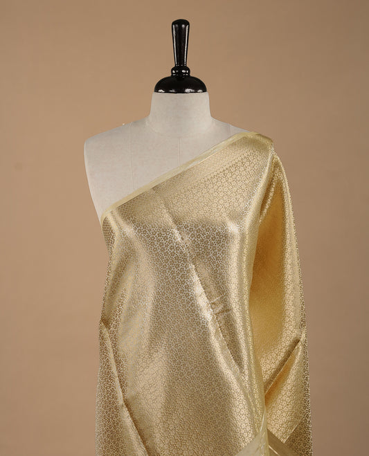 Yellow & gold double shade pure banaras tissue silk saree featuring gold zari floral & stripes on body, complemented by gold zari border, paired with matching blouse piece.