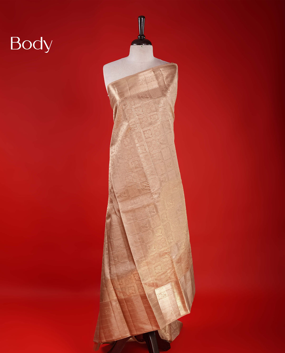 Beige Colour Samudrika Silk saree.