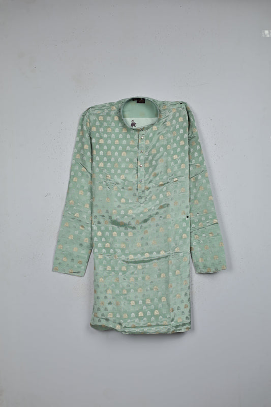 Mint colour kurta featuring gold & silver zari motifs on body, collar neck design, full sleeve.