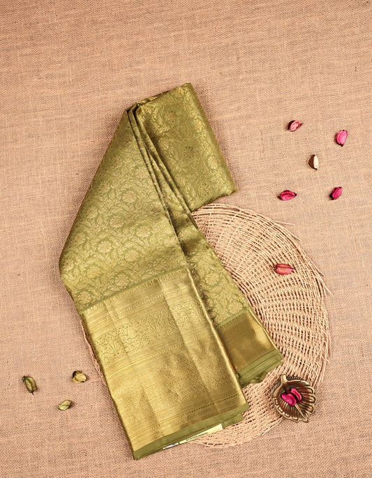 Sage Green Colour Samudrika Silk saree.