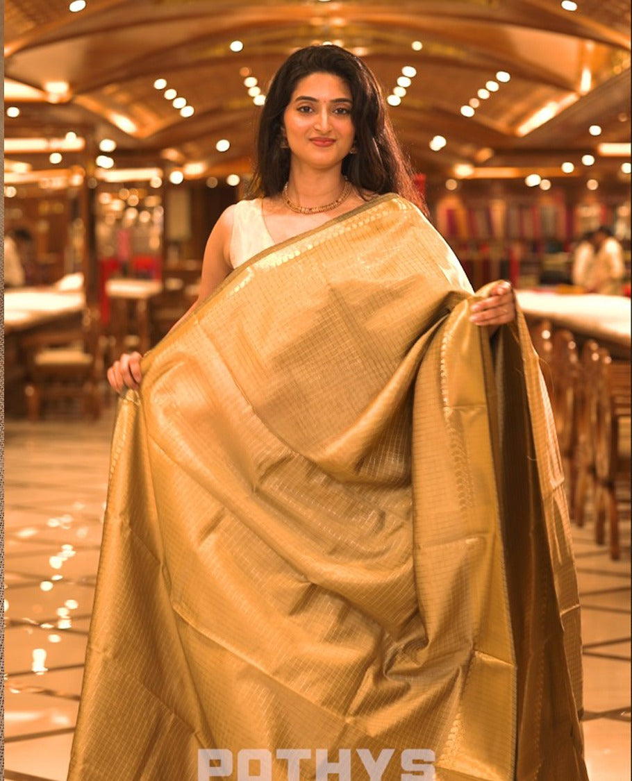 Beige colour semi banaras lichi silk saree featuring checked patterned body, complemented by gold zari border, paired with matching blouse piece.