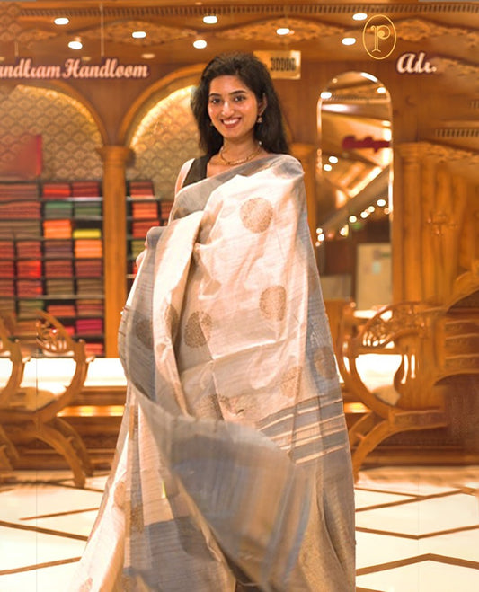 Cream colour Semi Jute saree featuring bold zari motifs across the body with a Blue colour parallel panel border, paired with a running blouse piece.